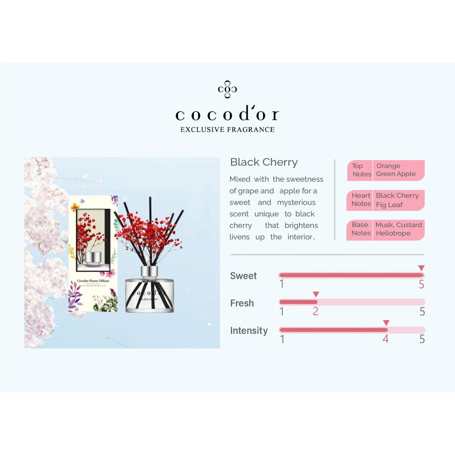 Black Cherry 50ml Preserved Flowers - cocod'or