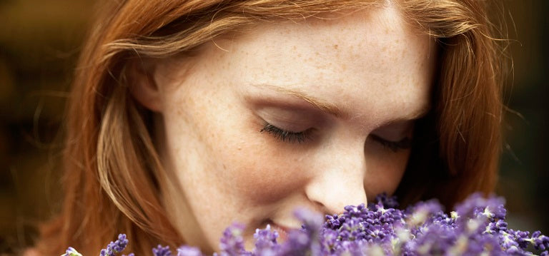 How Our Sense of Smell Affects Our Memories