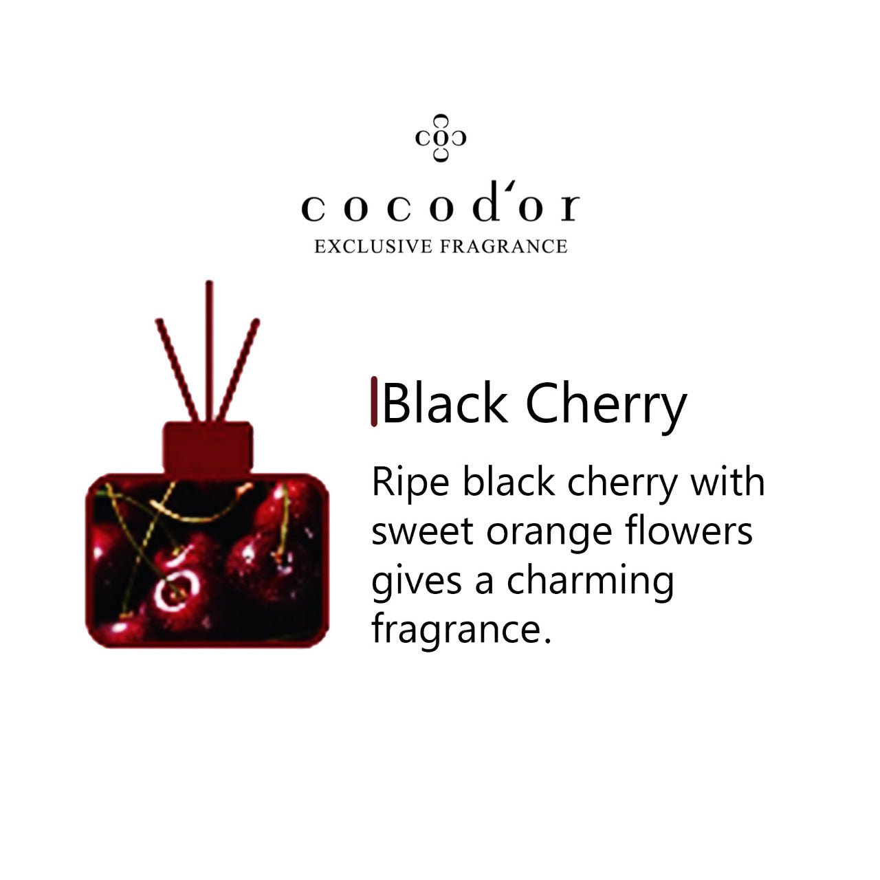 Black Cherry - cocod'or