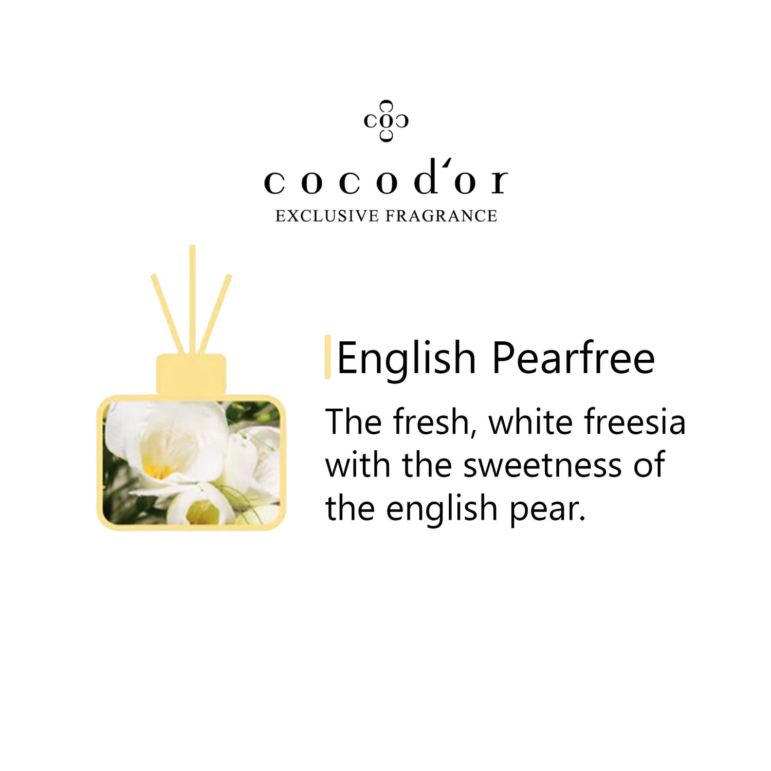 English Pearfree - cocod'or