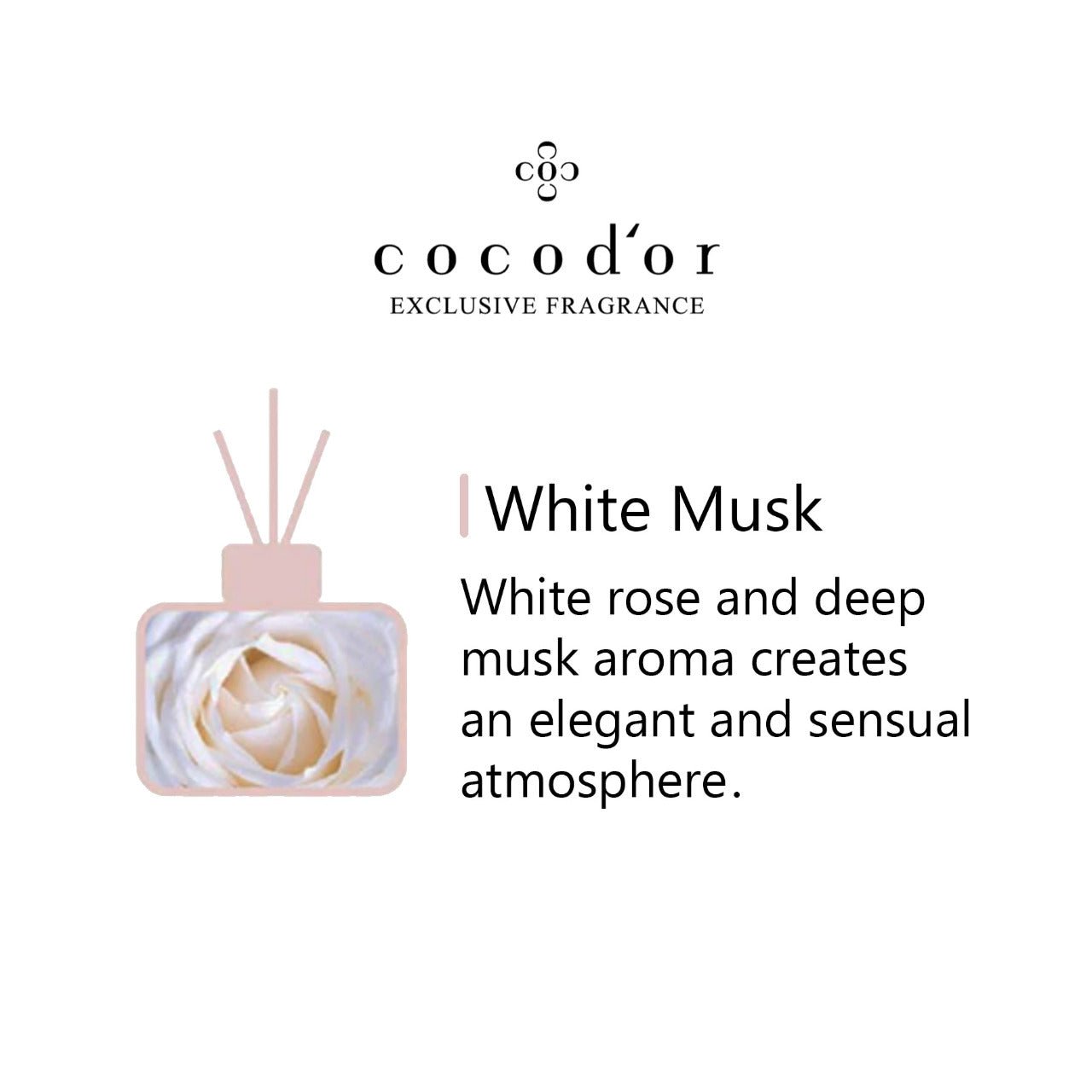 White Musk - cocod'or