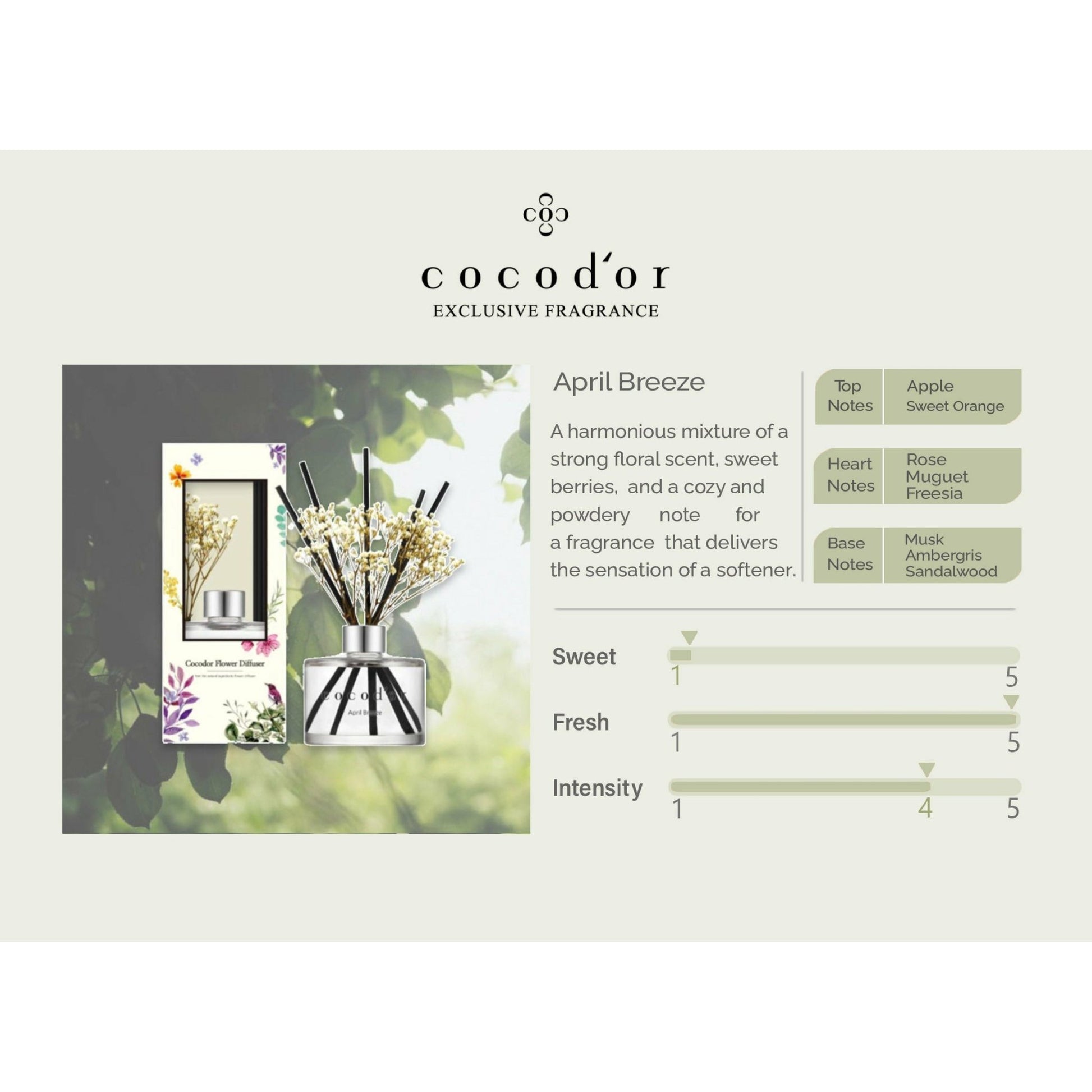 April Breeze 200ml Preserved Flowers - cocod'or