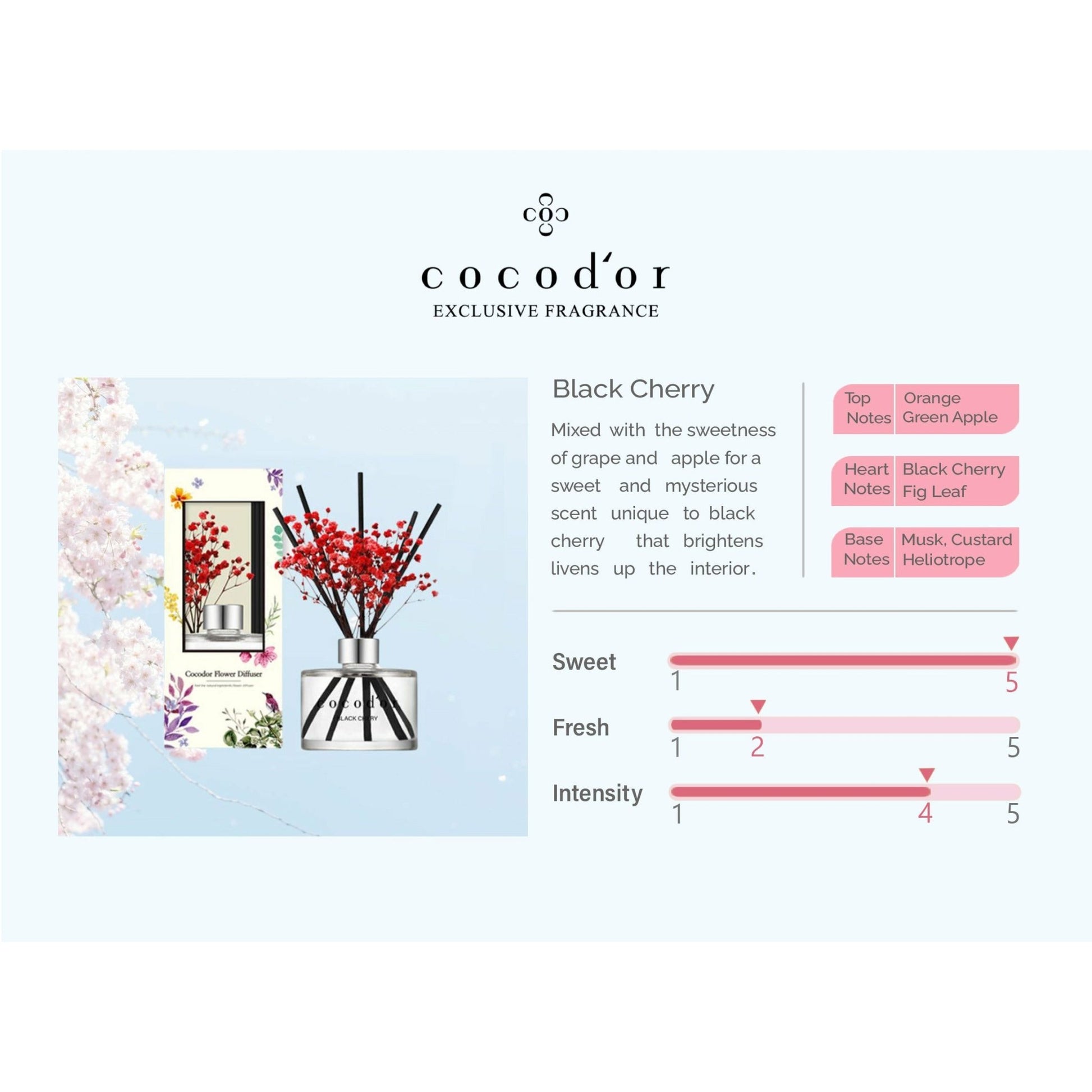 Black Cherry 200ml Preserved Flowers - cocod'or