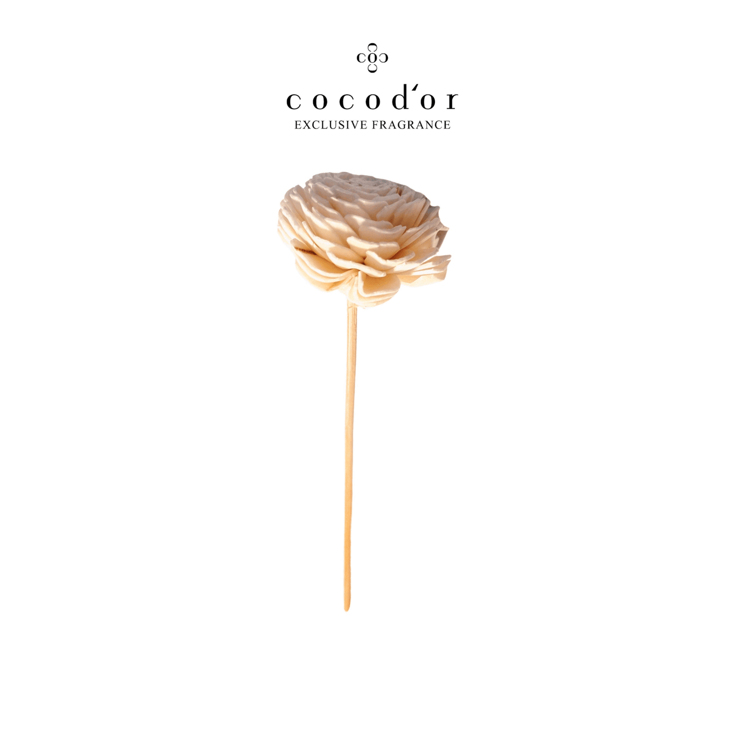 Chrysanthemum Flower Stick - cocod'or