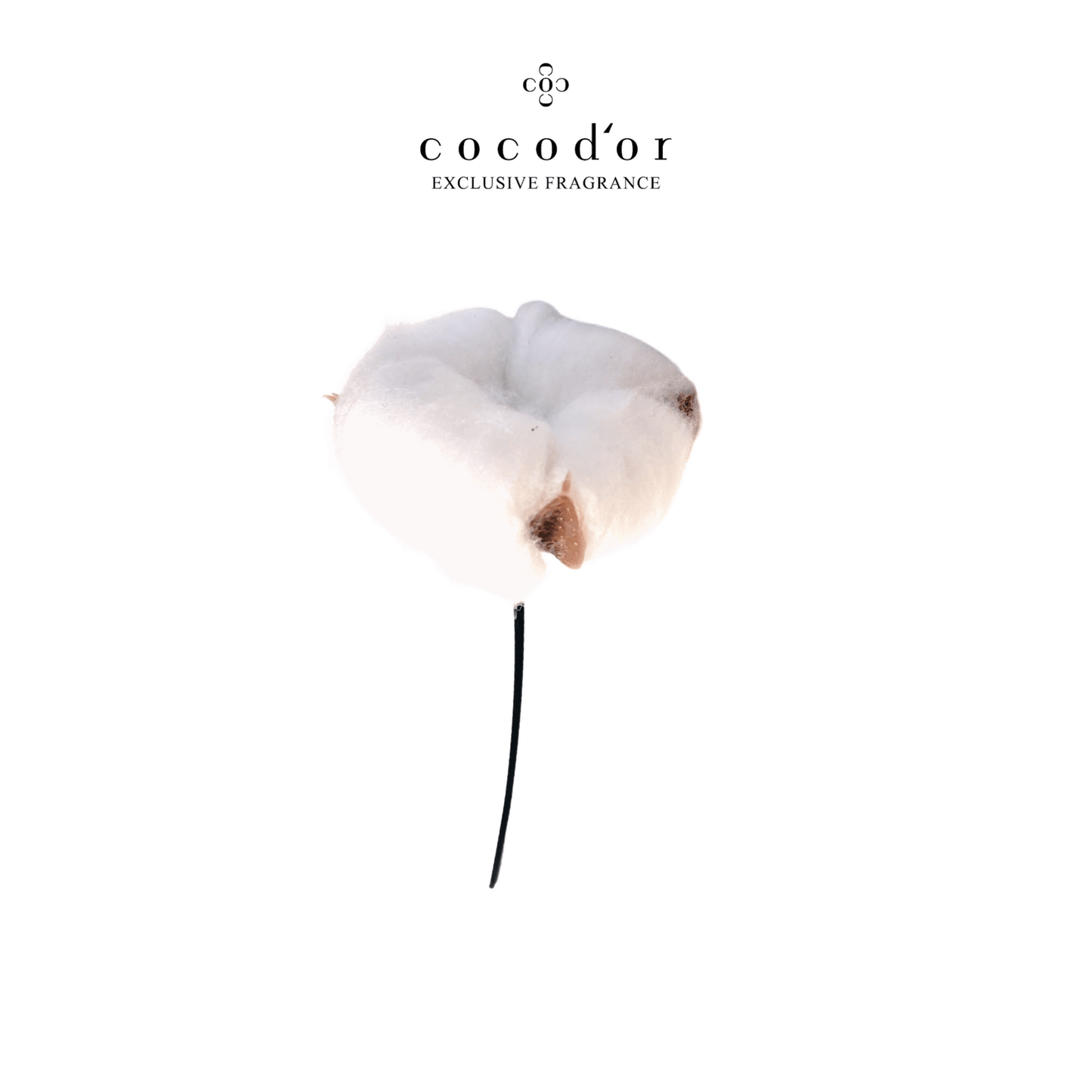 Cotton Flower Stick - cocod'or